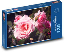 Růže - růžový květ, květina Puzzle 130 dílků - 28,7 x 20 cm