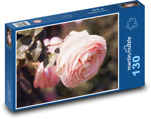 Růže - květ, zahrada Puzzle 130 dílků - 28,7 x 20 cm