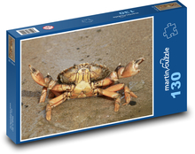 Krab - plaża, skorupiaki Puzzle 130 elementów - 28,7x20 cm