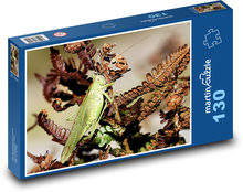 Szarańcza zielona - owady, rośliny Puzzle 130 elementów - 28,7x20 cm