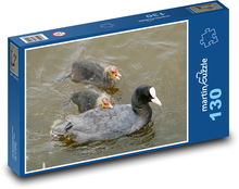 Lyska - waterbird, animal Puzzle 130 pieces - 28.7 x 20 cm