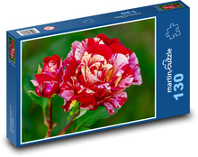 Ruže - kvet, kvet Puzzle 130 dielikov - 28,7 x 20 cm 