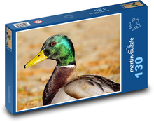 Divoká kachna - kačer, pták Puzzle 130 dílků - 28,7 x 20 cm