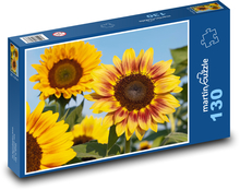 Slunečnice - okvětní lísty, květ Puzzle 130 dílků - 28,7 x 20 cm