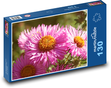 Rosa Blumen - Aster, Pflanzen Puzzle 130 Teile - 28,7x20 cm