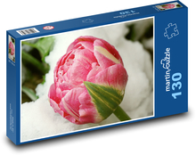 Růžový tulipán - květ, mráz Puzzle 130 dílků - 28,7 x 20 cm