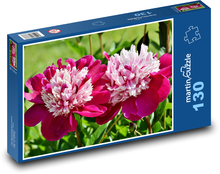 Pfingstrose - Blume, Frühling Puzzle 130 Teile - 28,7x20 cm