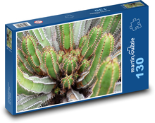 Kaktus - pichlavá rostlina, květina  Puzzle 130 dílků - 28,7 x 20 cm
