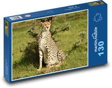 Gepard - divoká zvěř, Afrika Puzzle 130 dílků - 28,7 x 20 cm