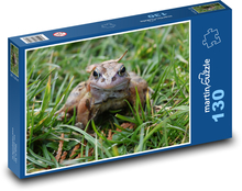 Frog - amphibian, nature Puzzle 130 pieces - 28.7 x 20 cm 