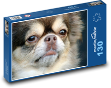Chihuahua - pes, domáce zviera Puzzle 130 dielikov - 28,7 x 20 cm 