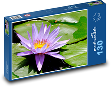 Fialový leknín - rostlina, květ Puzzle 130 dílků - 28,7 x 20 cm