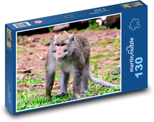 Affe - Primat, Säugetier Puzzle 130 Teile - 28,7x20 cm