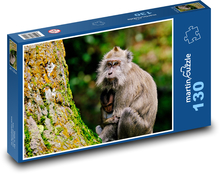 Opice s mládětem Puzzle 130 dílků - 28,7 x 20 cm