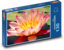 Lekná - vodná rastlina, kvetina Puzzle 130 dielikov - 28,7 x 20 cm 