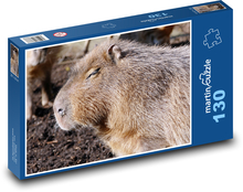 Kapybara - savec, zvíře Puzzle 130 dílků - 28,7 x 20 cm