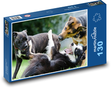 Border kolie - hrající si psi, zvířata  Puzzle 130 dílků - 28,7 x 20 cm