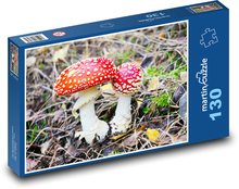Muchomůrka - houba, les Puzzle 130 dílků - 28,7 x 20 cm