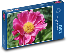 Růžová pivoňka - růžová květina, rostlina Puzzle 130 dílků - 28,7 x 20 cm