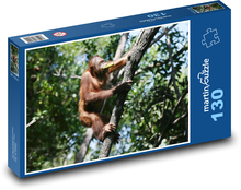 Orang-Utan - Affe, auf einen Baum klettern Puzzle 130 Teile - 28,7x20 cm