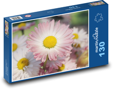 Sedmikrásky - polní květiny, květ Puzzle 130 dílků - 28,7 x 20 cm