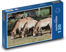 Kůň převalský, zvíře Puzzle 130 dílků - 28,7 x 20 cm