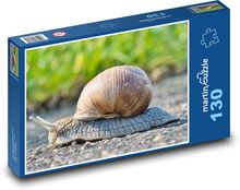 Ślimak - mięczak, muszla Puzzle 130 elementów - 28,7x20 cm