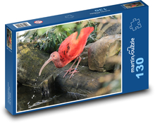 Red ibis - bird, animal Puzzle 130 pieces - 28.7 x 20 cm 
