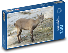 Koziorożec - zwierzę, ssak Puzzle 130 elementów - 28,7x20 cm