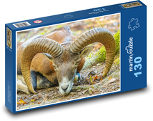 Muflón - zviera, rohy Puzzle 130 dielikov - 28,7 x 20 cm 