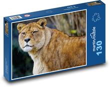 Lioness - lion, predator Puzzle 130 pieces - 28.7 x 20 cm 