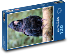 Kakadu černý - pták, zvíře Puzzle 130 dílků - 28,7 x 20 cm