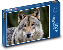 Šedý vlk - zvíře, dravec Puzzle 130 dílků - 28,7 x 20 cm