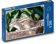 Eichhörnchen - Nagetier, Tier Puzzle 130 Teile - 28,7x20 cm