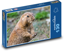 Prairie pes - zviera, hlodavec Puzzle 130 dielikov - 28,7 x 20 cm 