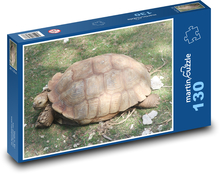 Želva - krunýř, plaz Puzzle 130 dílků - 28,7 x 20 cm