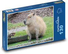 Kapybara - zviera, zoo Puzzle 130 dielikov - 28,7 x 20 cm 