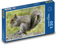 Veverka - hlodavec, zvíře Puzzle 130 dílků - 28,7 x 20 cm