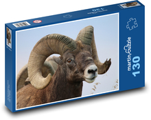 Pouštní tlustorohá ovce - zvíře, rohy Puzzle 130 dílků - 28,7 x 20 cm