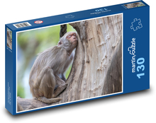 Opice - zvíře, spát Puzzle 130 dílků - 28,7 x 20 cm