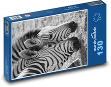 Zebry - zvířata, savci Puzzle 130 dílků - 28,7 x 20 cm