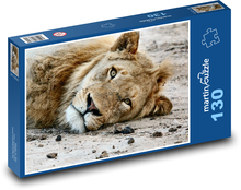 Lev - zvíře, savec Puzzle 130 dílků - 28,7 x 20 cm