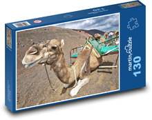 Ťava - zviera, púšť Puzzle 130 dielikov - 28,7 x 20 cm 