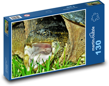 Schildkröte - Tier, Reptil Puzzle 130 Teile - 28,7x20 cm