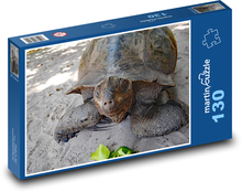 Giant turtle - reptile, animal Puzzle 130 pieces - 28.7 x 20 cm 