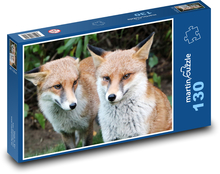 Lišky - zvířata, savci Puzzle 130 dílků - 28,7 x 20 cm