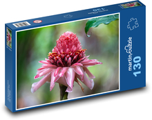 Waratah - Kwiat Puzzle 130 elementów - 28,7x20 cm