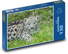 Mladý snežný leopard Puzzle 130 dielikov - 28,7 x 20 cm 