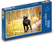 Bradáč v jesennom lese Puzzle 500 dielikov - 46 x 30 cm 