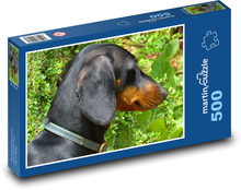 Ciekawski jamnik w ogrodzie Puzzle 500 elementów - 46x30 cm